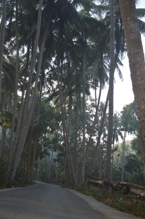 Nyuh Gading Bungalow Nusa Penida Sakti Exterior foto